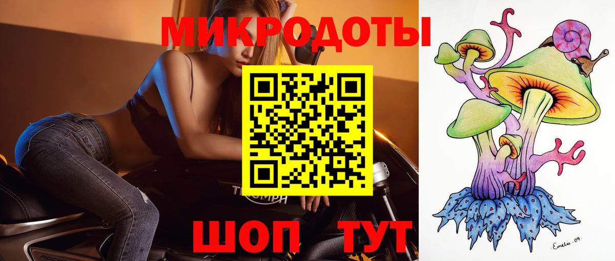 Галлюциногенные грибы Psilocybe Омск